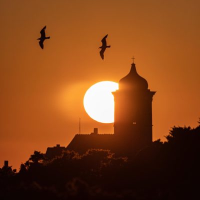 Bonifacio 😍  #bonifacio #corse #coucherdesoleil #mouette #ville #mer #clocher #iledebeaute #sunset